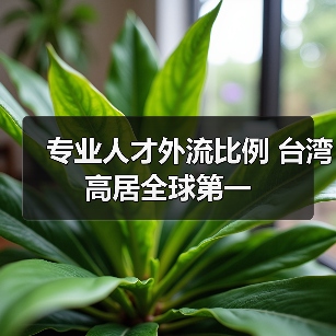 专业人才外流比例 台湾高居全球第一(图3) 专业人才外流比例 台湾高居全球第一(图3)