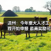 温州:今年重大人才工程开始申报 最高奖励可达3000万(图3) 温州:今年重大人才工程开始申报 最高奖励可达3000万(图3)