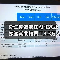 浙江精准聚焦湖北就业 接返湖北籍员工3.3万人(图4) 浙江精准聚焦湖北就业 接返湖北籍员工3.3万人(图4)