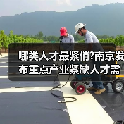哪类人才最紧俏?南京发布重点产业紧缺人才需求目录(图2) 哪类人才最紧俏?南京发布重点产业紧缺人才需求目录(图2)