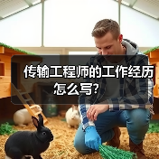 传输工程师的工作经历怎么写?(图3) 传输工程师的工作经历怎么写?(图3)
