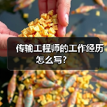 传输工程师的工作经历怎么写?(图1) 传输工程师的工作经历怎么写?(图1)
