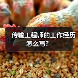 传输工程师的工作经历怎么写?(图4) 传输工程师的工作经历怎么写?(图4)