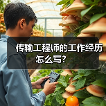 传输工程师的工作经历怎么写?(图2) 传输工程师的工作经历怎么写?(图2)