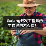 Golang开发工程师的工作经历怎么写？（图4）