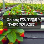 Golang开发工程师的工作经历怎么写？（图1）