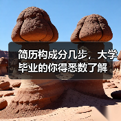 简历构成分几步,大学毕业的你得悉数了解(图2) 简历构成分几步,大学毕业的你得悉数了解(图2)