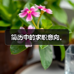 简历中的求职意向。(图2) 简历中的求职意向。(图2)