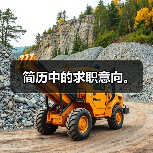 简历中的求职意向。(图4) 简历中的求职意向。(图4)