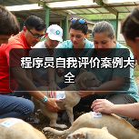 程序员自我评价案例大全(图2) 程序员自我评价案例大全(图2)