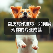 简历写作技巧：如何展现你的专业成就（图4）