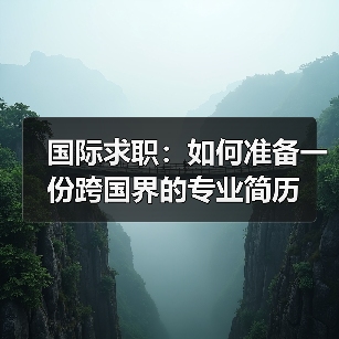 国际求职:如何准备一份跨国界的专业简历(图4) 国际求职:如何准备一份跨国界的专业简历(图4)