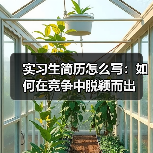 实习生简历怎么写:如何在竞争中脱颖而出(图3) 实习生简历怎么写:如何在竞争中脱颖而出(图3)