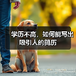 学历不高，如何能写出吸引人的简历（图3）