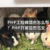 PHP工程师简历怎么写?PHP开发简历范文(图3) PHP工程师简历怎么写?PHP开发简历范文(图3)
