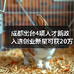 成都出台4项人才新政 入选创业新星可获20万资助(图2) 成都出台4项人才新政 入选创业新星可获20万资助(图2)