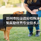 郑州市拟设政府特殊津贴奖励优秀专业技术人才（图3）