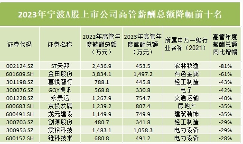 宁波A股高管薪酬霸榜：光伏储能领跑，电力设备汽车涨薪明显(图4)