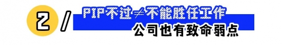 遭遇PIP协议如何应对?掌握关键步骤维护自身权益(图2) 遭遇PIP协议如何应对?掌握关键步骤维护自身权益(图2)